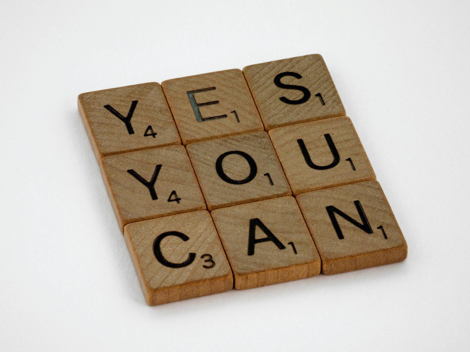 You’ll Succeed if You Can Survive 1 You’ll Succeed if You Can Survive