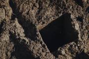 If You’re in a Hole, Stop Digging